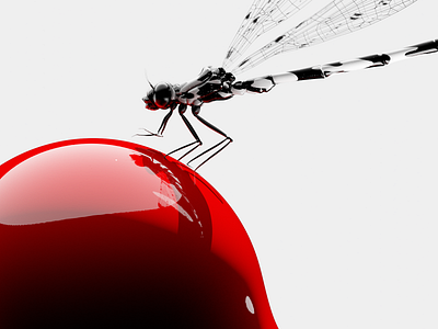 DAMSELFLY 3d animation blender bug cgi design dragonfly