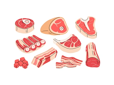 Meat types bacon beef cartoon concept design flat food illustration meat pork raw steak vector