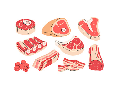 Meat types bacon beef cartoon concept design flat food illustration meat pork raw steak vector