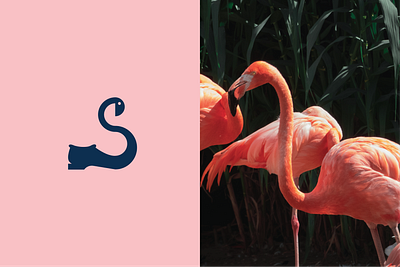 Flamingo Walk bird logo branding graphic design logo