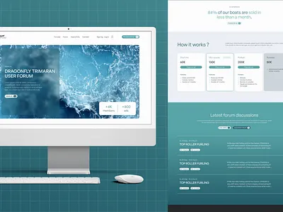 UI Design - Dragonfly boats branding design figma graphic design ui ui design webdesign