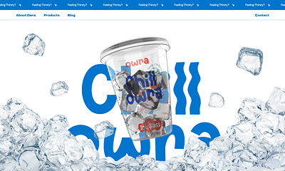 Chill Owra | Website Design & Dev. 3d branding development e commerce product page ui web design