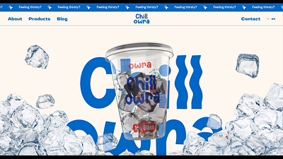 Chill Owra | Website Design & Dev. 3d branding development e commerce product page ui web design