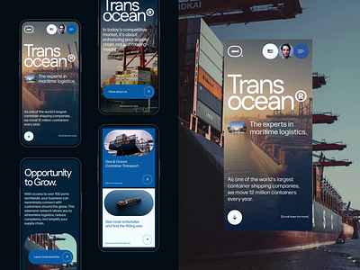 #6 Concepts / Transocean® animation boat cargo container design freight homepage logistics maritime mobile motion ocean phone sea ship transport ui ux vessel webdesign