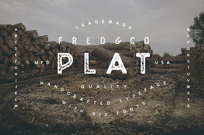 Plat Sans Serif Typeface distress font grunge font plat sans serif typeface sans serif font stamp font texture font type font vintage font