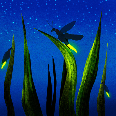 Fireflies adobe photoshop firefly illustration night