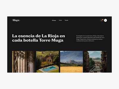 Torre Muga / La región desktop product design territory ui ux web design wine winery