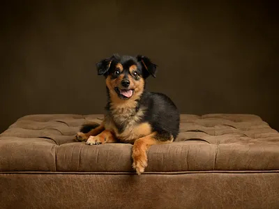 Soulful Studios photo editing photo retouching photography photoshoot studio