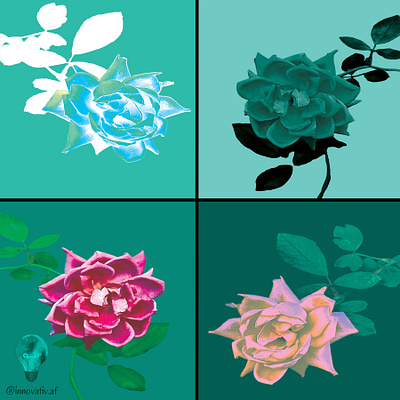 Graphic Flowers adobe photoshop graphic design