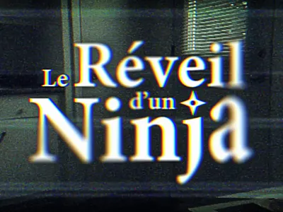 Le Réveil d'un Ninja (Short Film) after effects crt premiere pro vhs video video editing