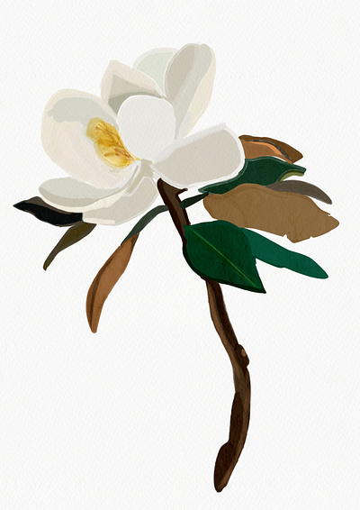 Magnolia Illustration with Texture brand identity branding digital design digital illustration graphic design illustration logo