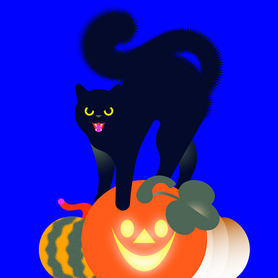 Spooky cat animal black cat cat colorful design flat graphic design halloween illustration inktober pet spooky spookyseason ui vectober vector