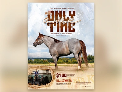 ARC Only One Time, Stallion Advertisement agriculture agriculture design arc only one time arcese quarter horses equestrian equestrians equine equines horse horse ad horse design horses ranch ranch design rope stallion stallion ad stud western western design