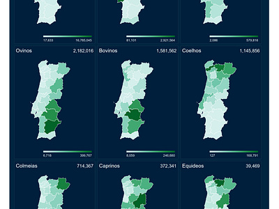 Population Distribution 2019 Portugal datascience deneb maps population powerbi report stats vega