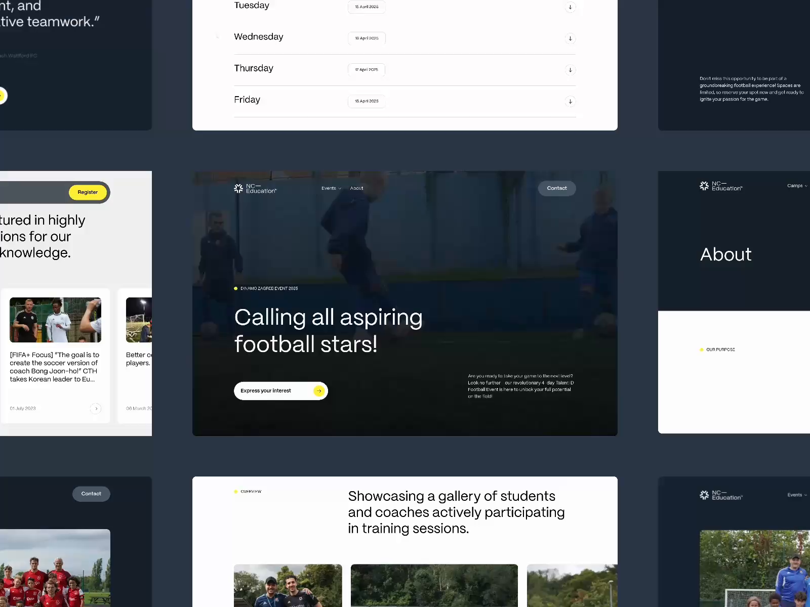 Example of Website Design & Development