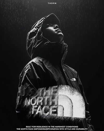 THE NORTH FACE Concept adobe ai art branding design graphic design midjourney photoshop poster thenorthface