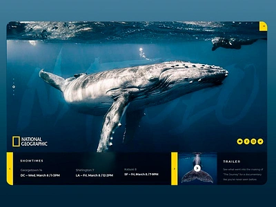 National Geographic Website - Whale Page animal world design homepage jungle landing page landingpage nat geo national geographic nature tv channel ui ux web web design webdesign website website design wilderness wildlife wildlife photography