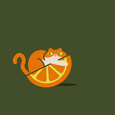 His name is Fred. cat illustration motion graphics orange