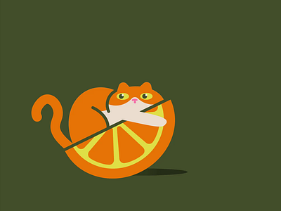 His name is Fred. cat illustration motion graphics orange