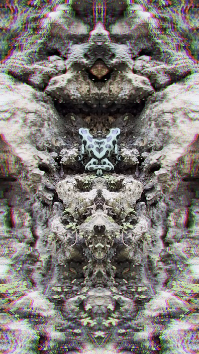 Lick It - Abstract Gems 💎 design frog kaleido kaleidoscope kaleidoscopic photoshop poisen surreal trippy video designer video production videographer videography vidoe