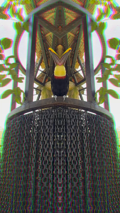 Toucan Chainz - Abstract Gems 💎 adobe premiere pro bird premiere pro surreal toucan trippy tropical video video deisgn video designer video production videography visuals visuals design visuals designer