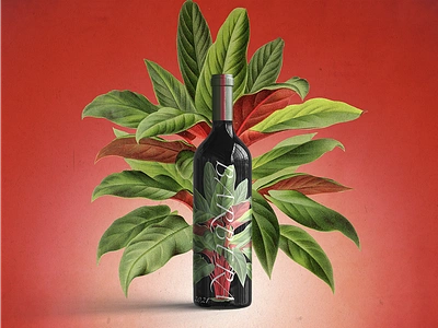 Barbera - Wine Label Design botanical bottle bottle design branding design graphic design illustration label label designer photoshop red tropical wine wine bottle wine design wine designer wine label illustrator winery