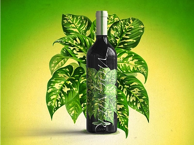 Viognier - Wine Label Design botanical bottle branding design graphic design illustration label label design label designer natural wine packaging photoshop tropical vintage wine wine bottle wine design wine designer wine label winery