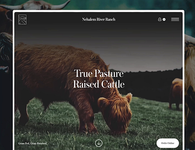 River Ranch - Beef Company Landing Page & E-Commerce Website branding design landing page ui ux website