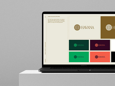 HAVANA Brand Guidelines Template adobe indesign brand book brand guide brand guide template brand manual brand style guide brand template branding identity canva canva template indesign indesign presentation