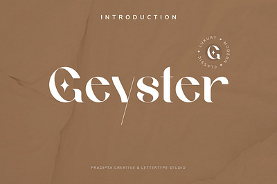 Geyster Modern Vintage Font chic font classic font classy font fashion font fat font geyster modern vintage geyster modern vintage font magazine font minimal font minimalism font minimalist font modern font modern vintage font retro font serif bold font serif font stylish font trendy font vintage font wedding font