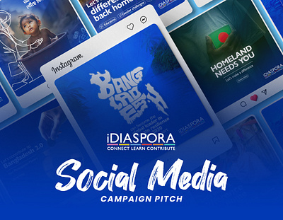 Social Media Campaign Pitch | iDiaspora brand identity campaign design graphic design ngo branding social media post visual visual identity