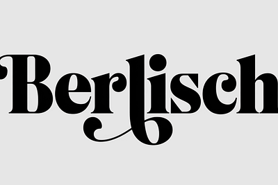 Berlisch Vintage Retro Serif Fat Typeface design font font sans serif graphic design illustration logo vector