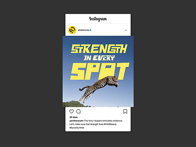 Amur Leopard Instagram Campaign branding conservation design graphic design social media typography