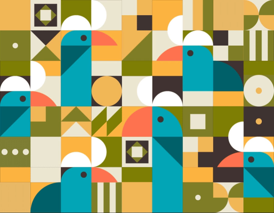 Parrot conversation animation birds geometric graphic design illustration motion graphics parrots vector