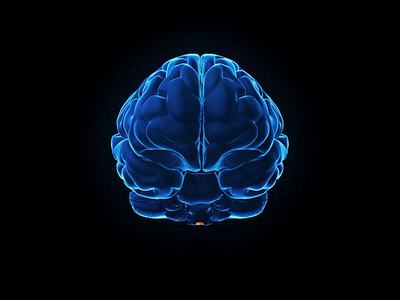 Brain neurons motion by Milkinside 3d animation brain braining branding c4d care cell health illustration medical motion neuro neurons thinking ui ux