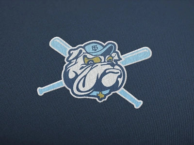 TD Baseball team logo baseball baseball team blue bold bull community dynamid embroided energetic iconic logo mascot modern playful southern sports strong team texas vibrant