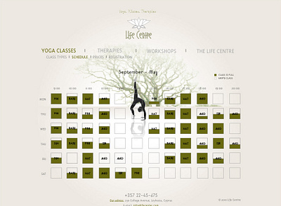 "Life Centre", yoga, website, 2010 web design yoga