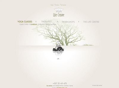 "Life Centre", yoga, website, 2010 web design yoga