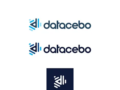 Datacebo Logo design 3d branding data graphic design logo