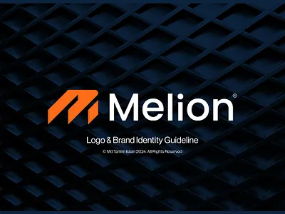 Brand Identity branding
