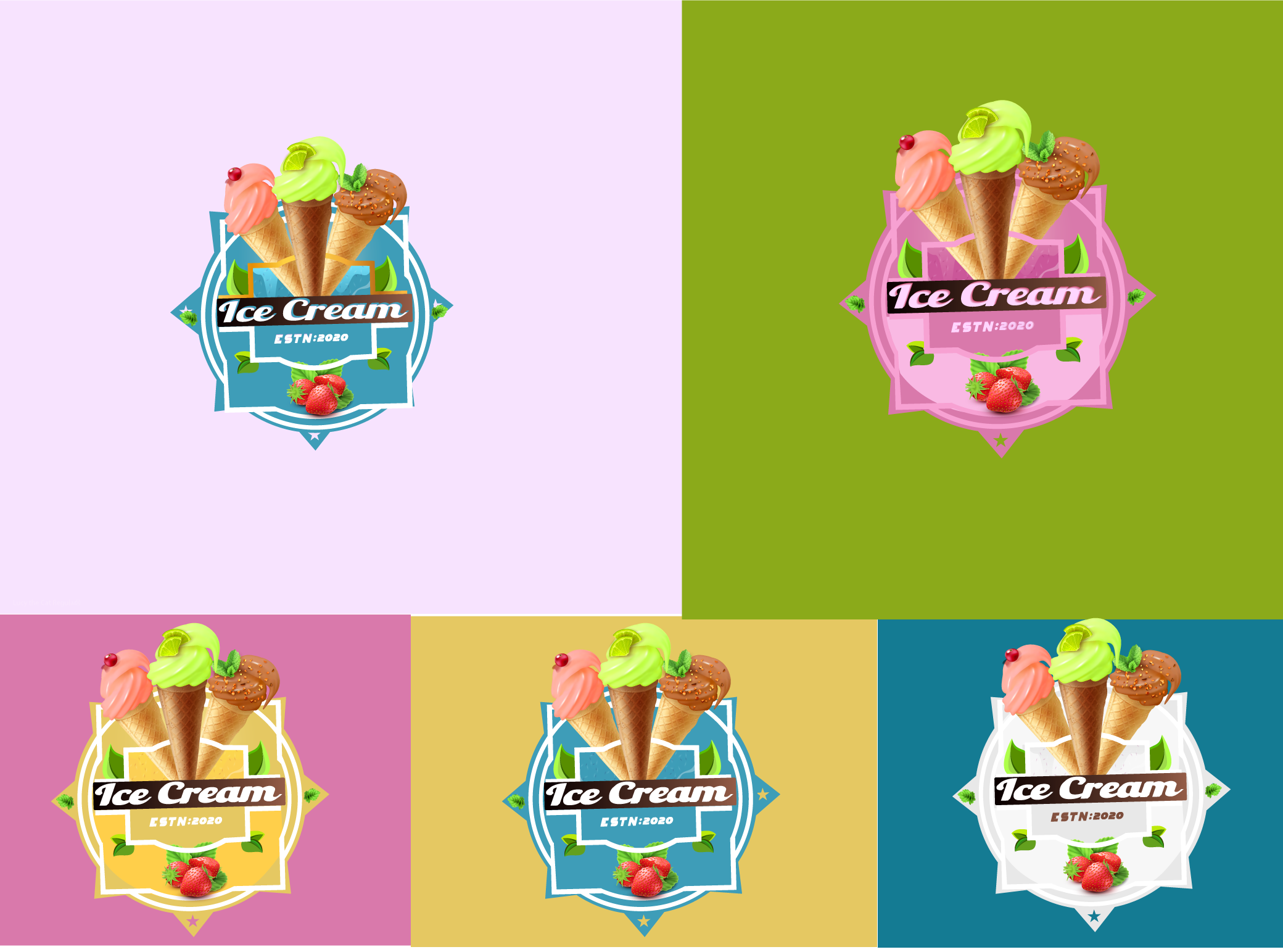 Example of Professional Logo Designer And Branding