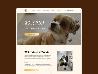 Lending grooming salon Pasito branding design grooming salon landing ui ux web design