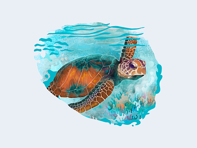 Turtle Illustration illustration sea turtle turtle