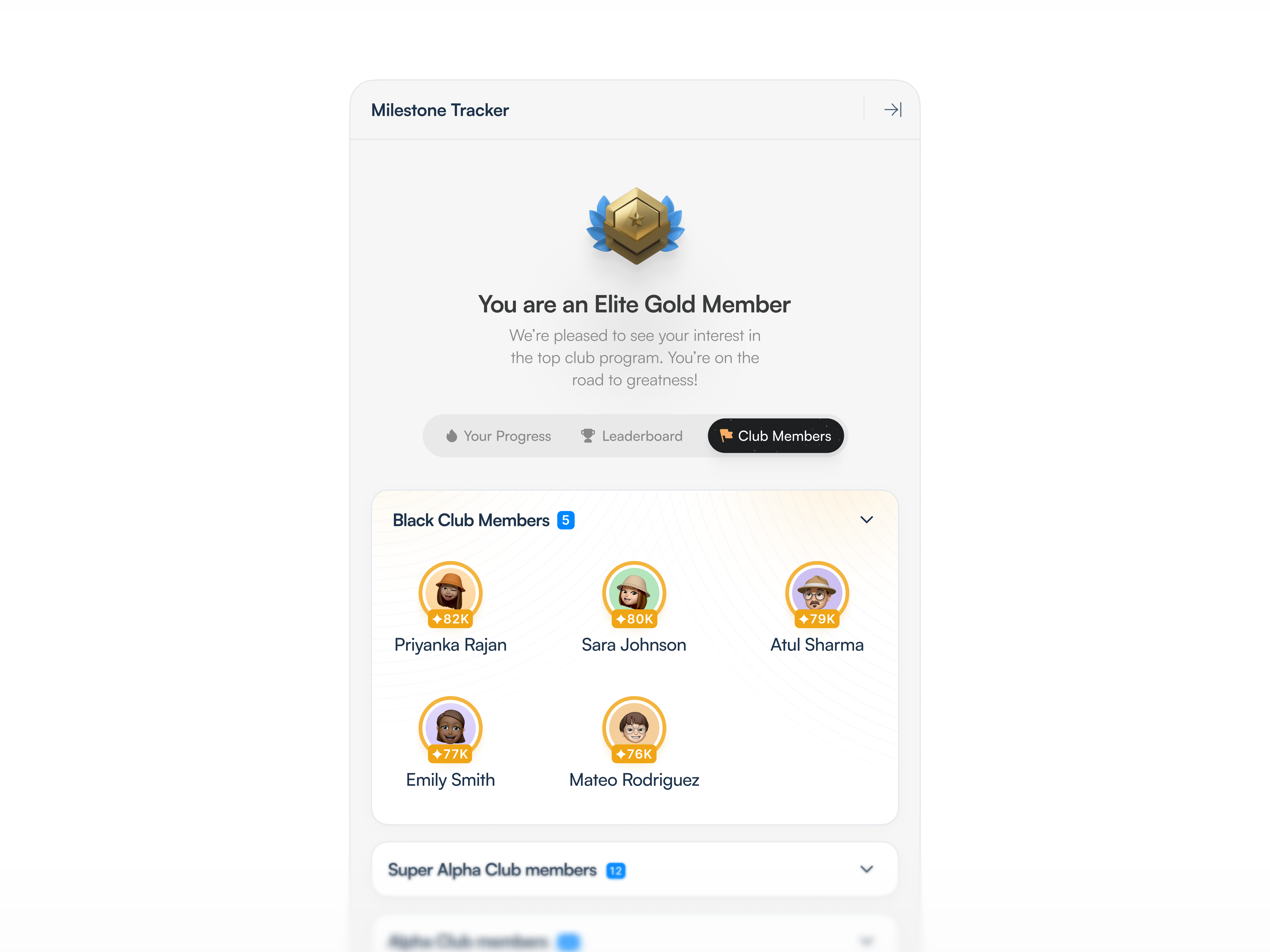 Example of Dashboard Or Web App Design