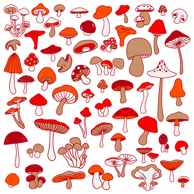 A cartoon-style illustration featuring various types of mushroom art cartoon design draw graphic design hand draw illustration