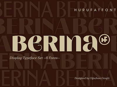 Berina Display Font berina display font contemporary contemporary black discretionary ligatures display font display sans heading high contrast package package design poster art posters retro futuristic sans serif title fonts uni sans unique unique font unique sans vintage contemporary