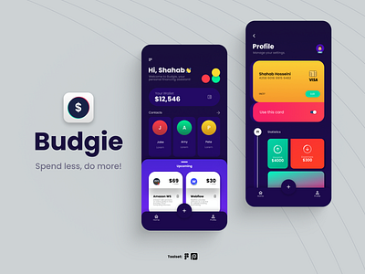 Budgie - Personal Finance App Concept app finance mobile ui