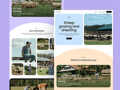 Web Design for Animal Farm Company animal farm company website design farm food producer graphic design hospitality interface marketing website ui user experience ux ux design web web design web layout web marketing website website design website page