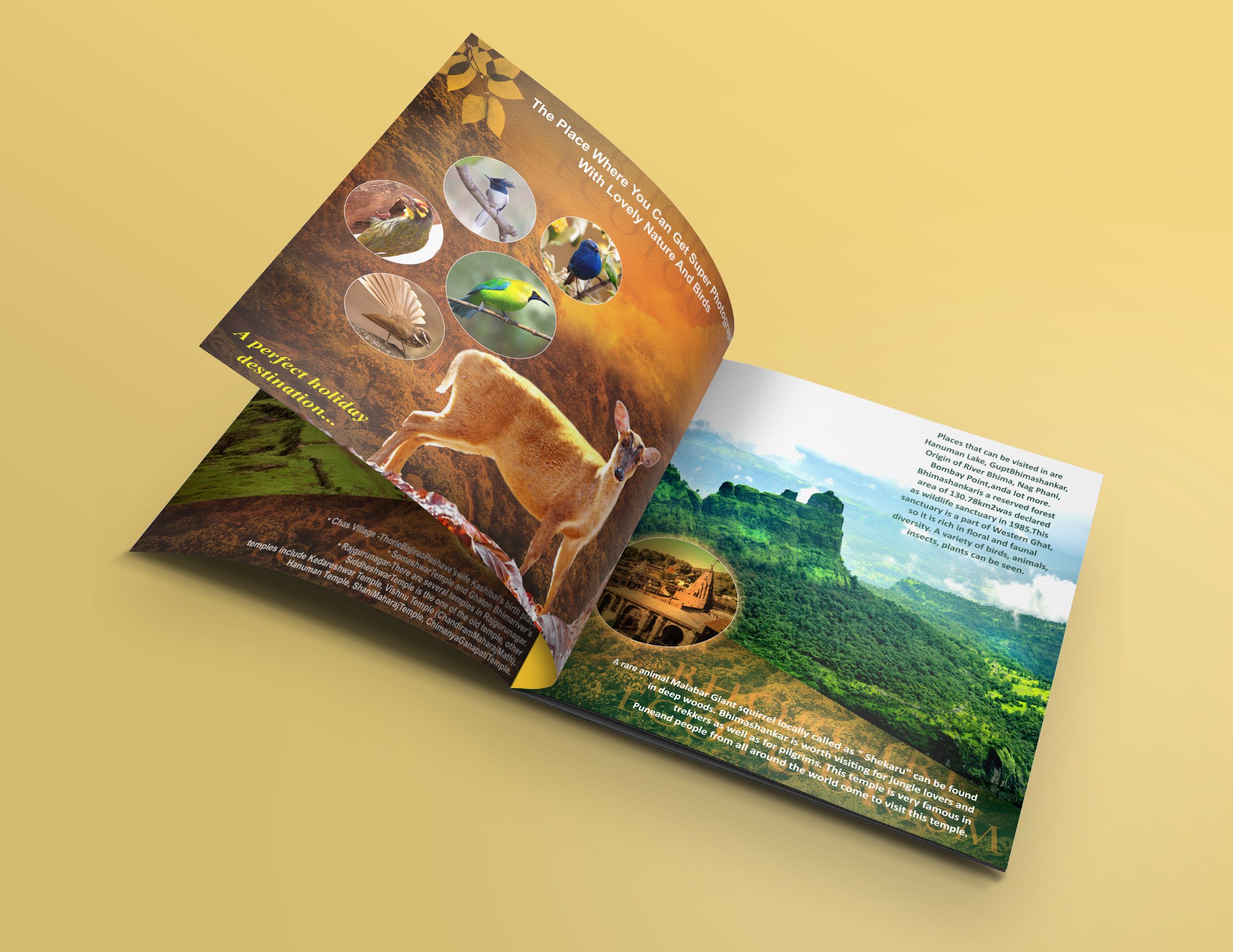 Brochure branding brochure graphic design illustrator photoshop print design