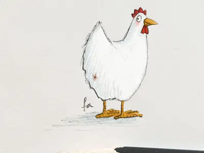 Chickenbutt chicken pencil watercolour childrensbookillustrator drawing illustration illustrationart illustrator picturebookart